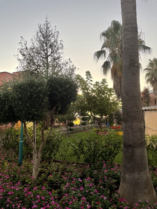 Gartenanlage VONRESORT Golden Beach