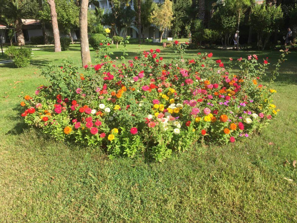 Blumeninsel Labranda Alantur Resort