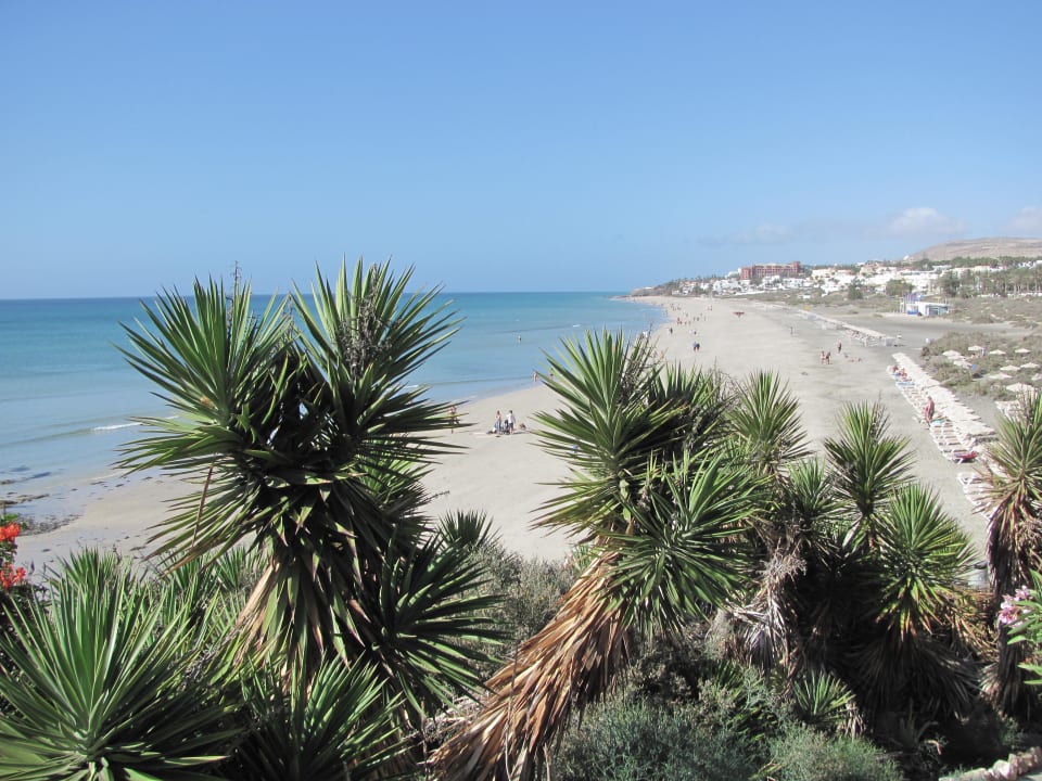 Strand SBH Hotel Taro Beach