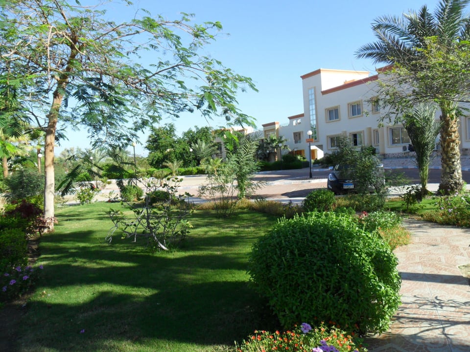 I giardini sul retro Blue Reef Red Sea Resort