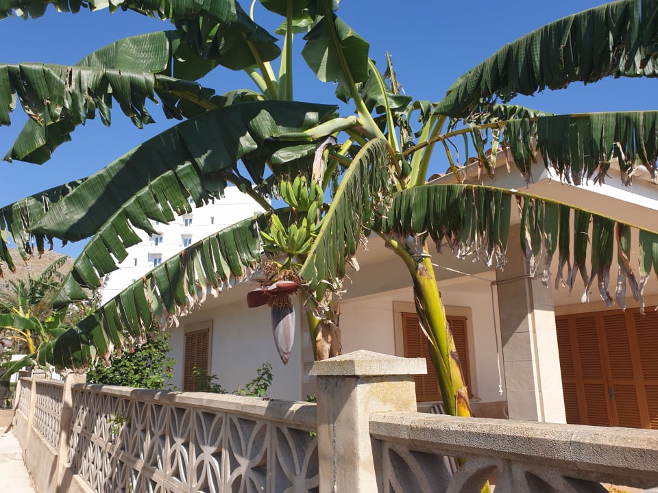 Sonstiges BelleVue Club