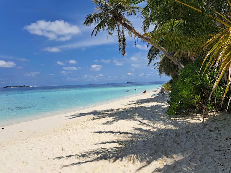 Strand Fihalhohi Maldives