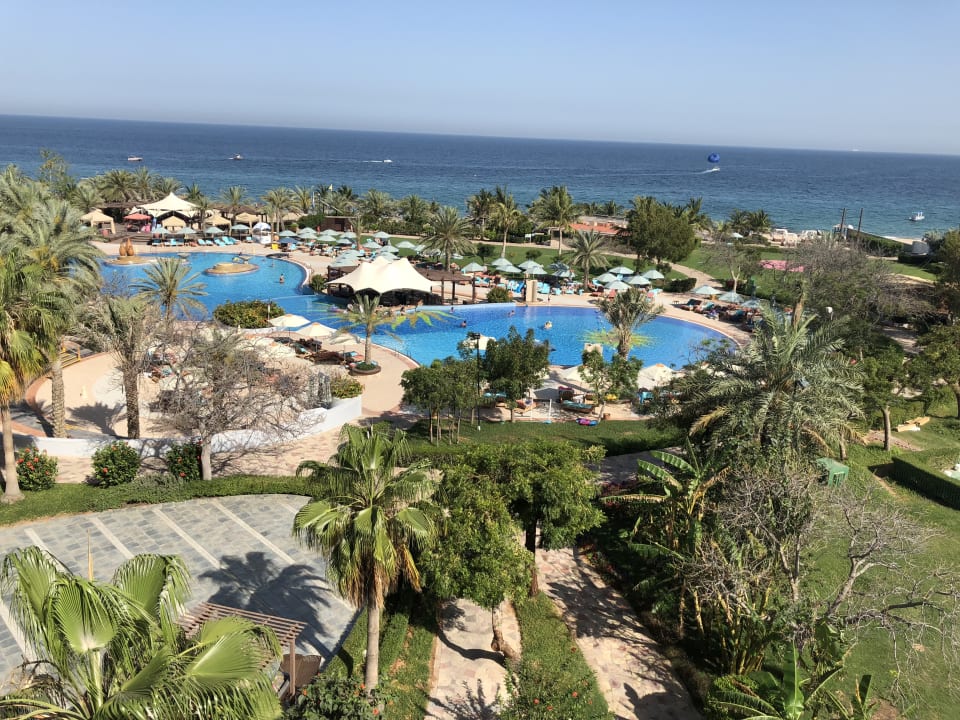 Pool Hotel Le Meridien Al Aqah Beach Resort