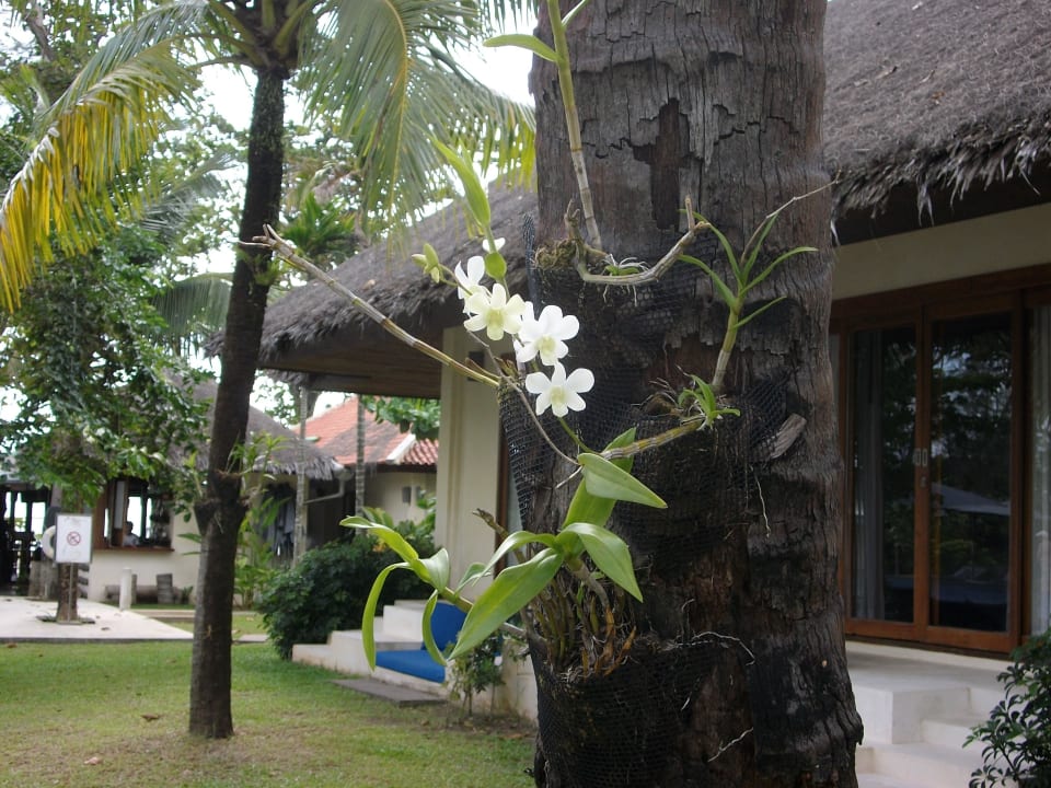 Garten Bangsak Village