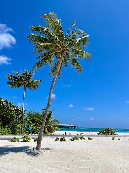 Außenansicht Jawakara Islands Maldives