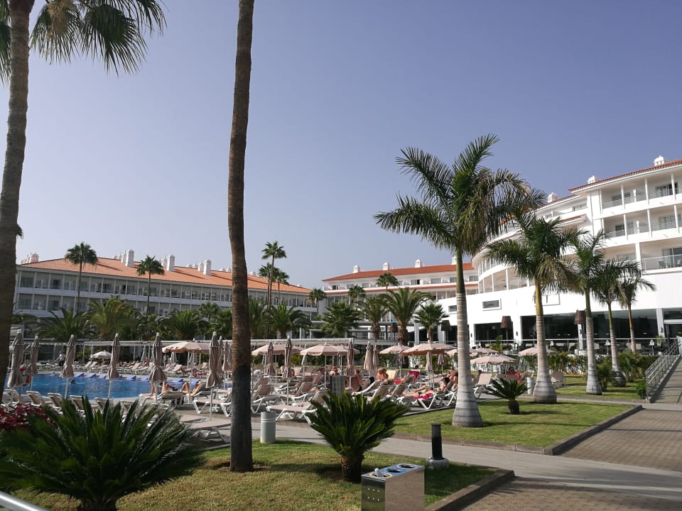 Gartenanlage Hotel Riu Arecas - Adults only