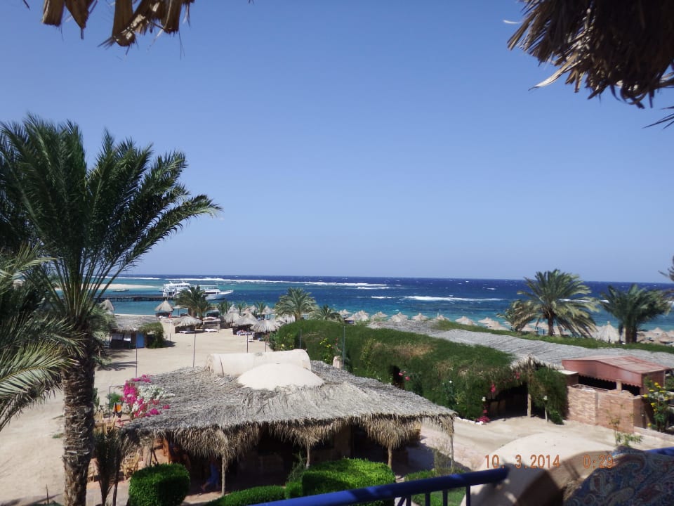 Strand Utopia Beach Utopia Beach Club