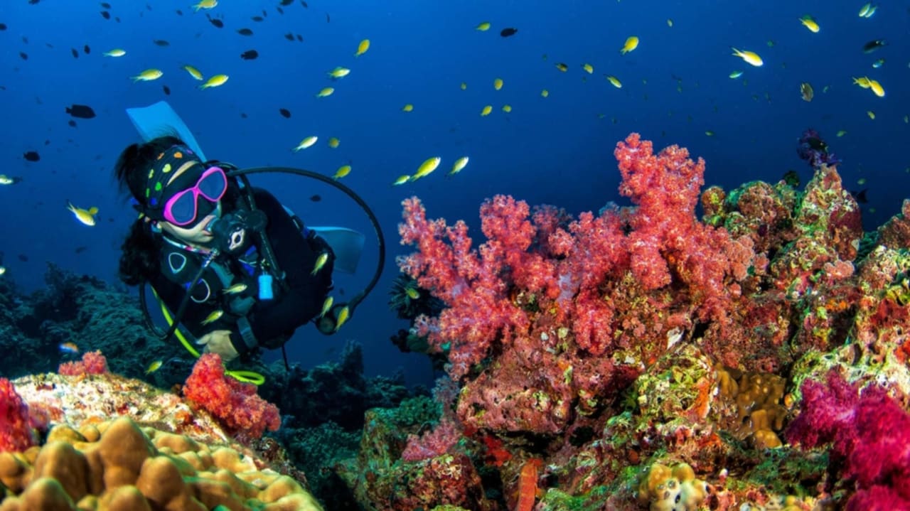 Sport & Freizeit Kihaa Maldives