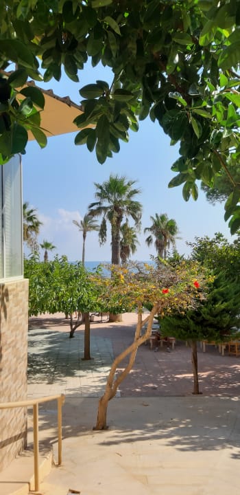 Gartenanlage Eri Beach & Village