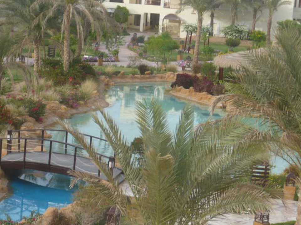 Ogród Regency Plaza Aqua Park & Spa