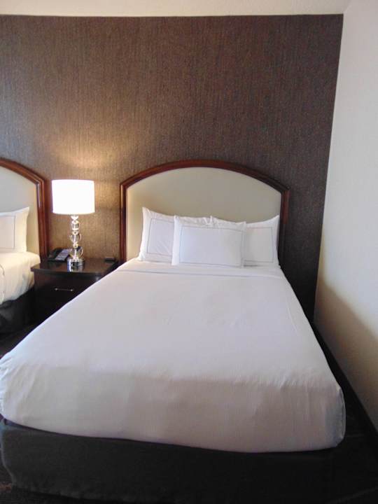 Zimmer Hotel Hilton Atlanta