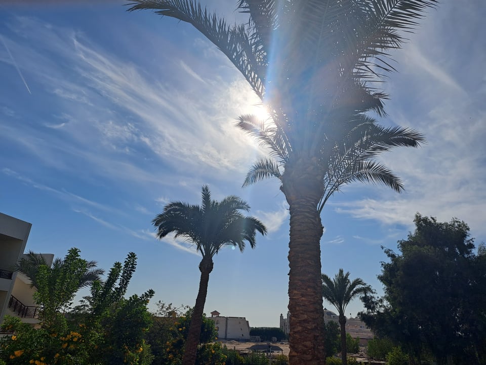 Gartenanlage Pharaoh Azur Resort