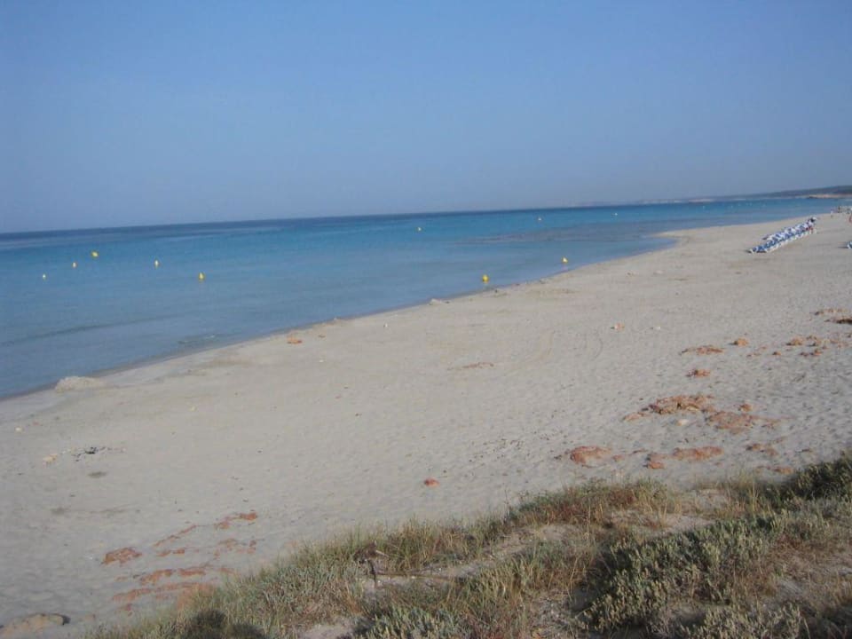 Royal Son Bou - Strand Royal Son Bou Family Club