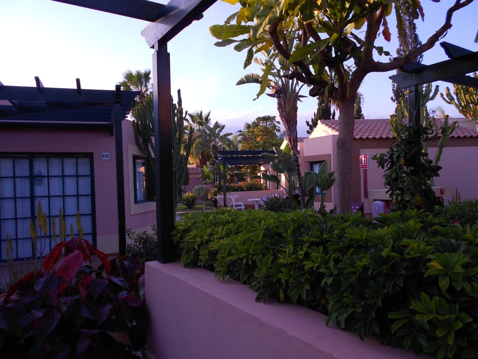 Aussicht von der Terrasse allsun Hotel Esplendido