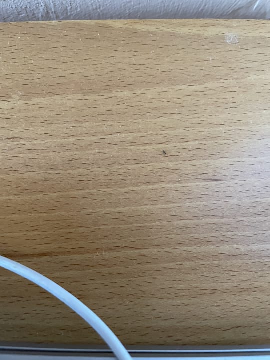 Zimmer SBH Costa Calma Beach Resort