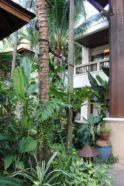 Gartenanlage Thai House Beach Resort
