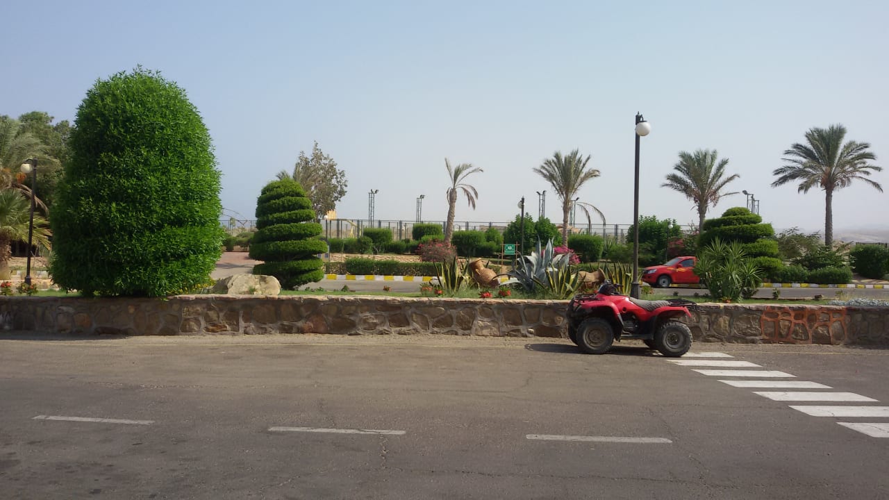 Garten Malikia Resort Abu Dabbab