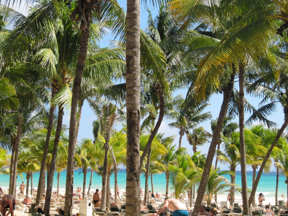 Blick von der Liege  Hotel Riu Tequila