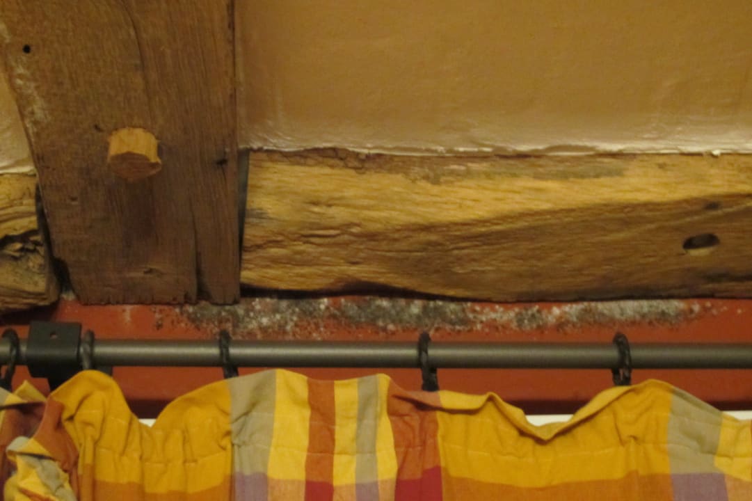 Schimmel/Schlafzimmer Eifel-Hotel Historische Wassermühle