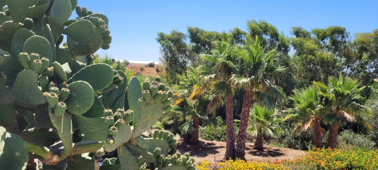 Gartenanlage VOI Marsa Siclà Essentia