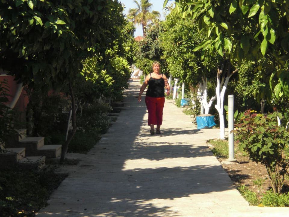 Garten Özlem Garden Hotel