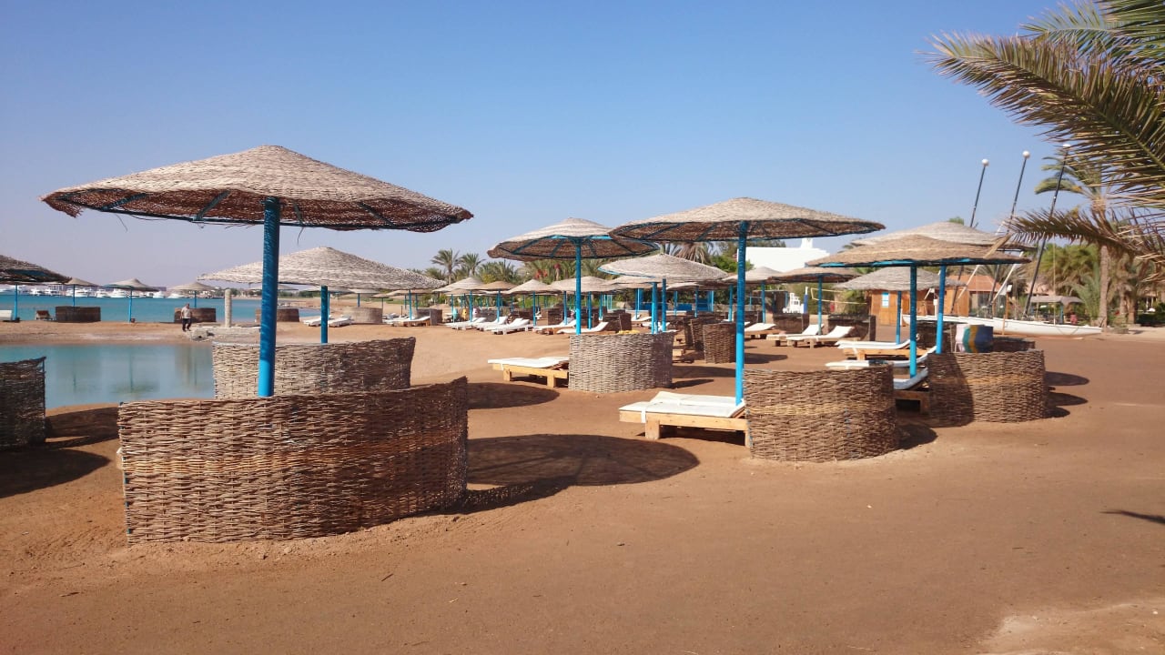Liegen und Schirme mit Windschutz Club Paradisio El Gouna, Red Sea