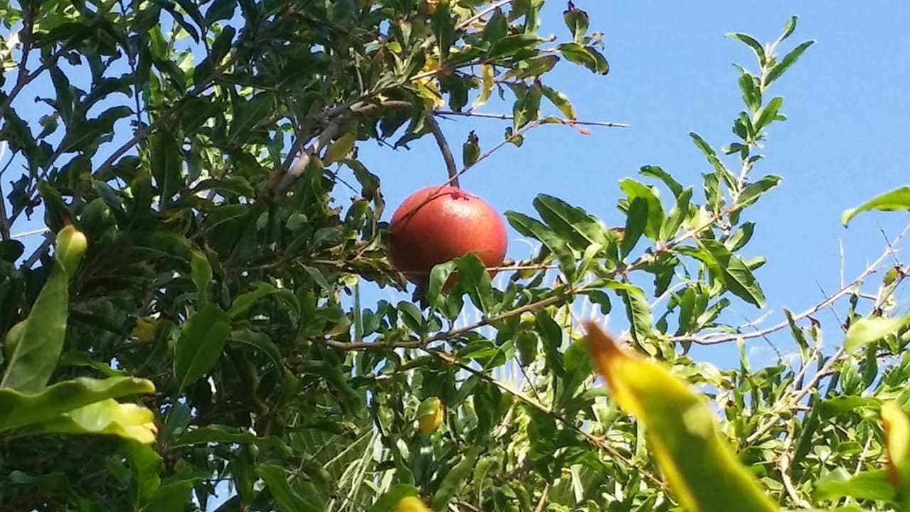 Granatapfel Saphir Resort & Spa