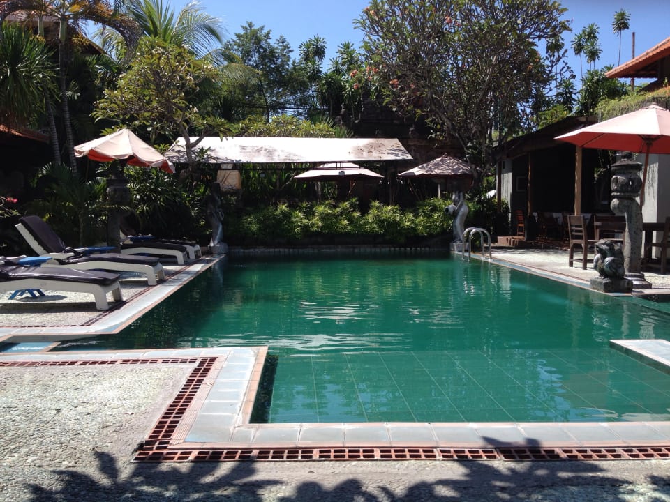 Pool Hotel Stana Puri Gopa