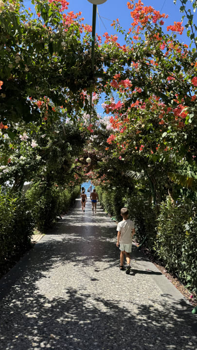 Ausblick Rubi Platinum Sign