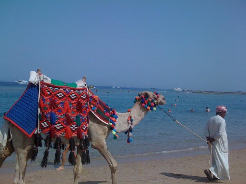 Strandtaxi Hotel JAZ Makadi Star & Spa