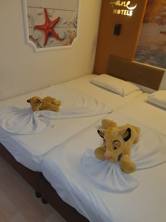 Zimmer Hane Family Resort