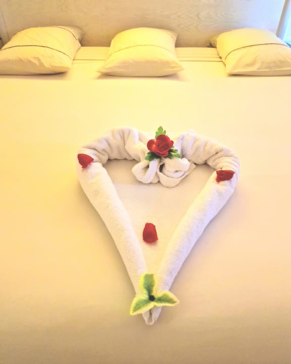 Zimmer Makadi Spa - Adults only