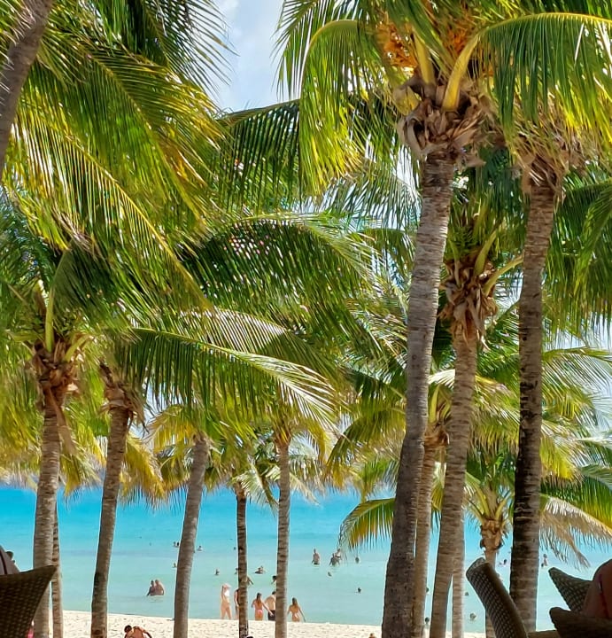 Ausblick Hotel Riu Tequila