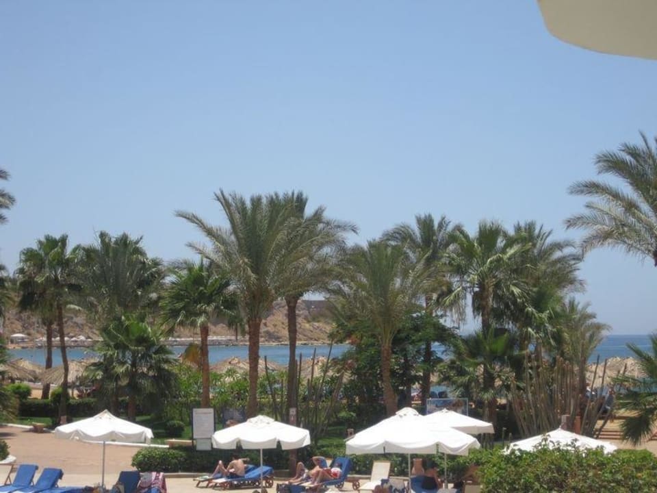 Pamlen Iberotel Palace