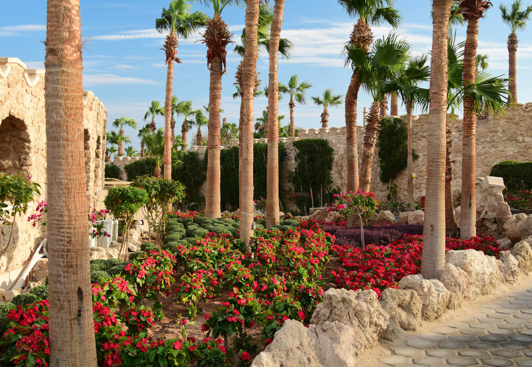 Außenansicht Pickalbatros Citadel Resort