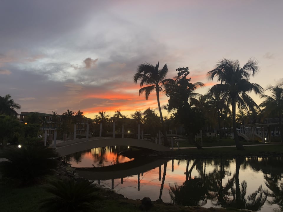 Gartenanlage Melia Las Antillas - Adults only