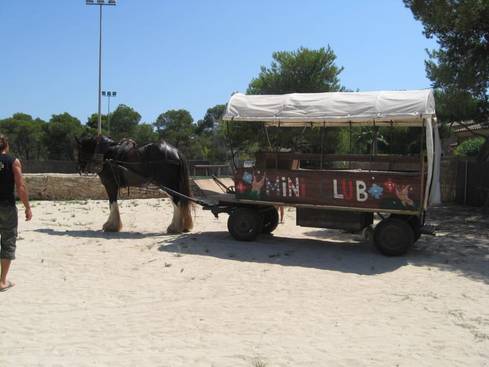 Mini-Club-Kutsche Iberostar Waves Club Cala Barca