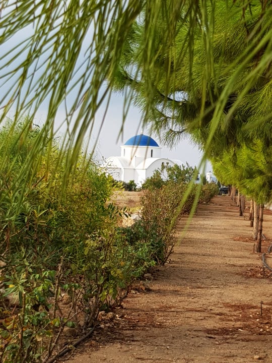 Ausblick TUI BLUE Pioneer Beach