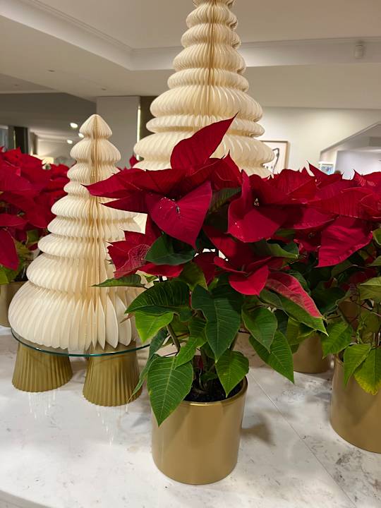 Lobby Grupotel Acapulco Playa - Adults Only