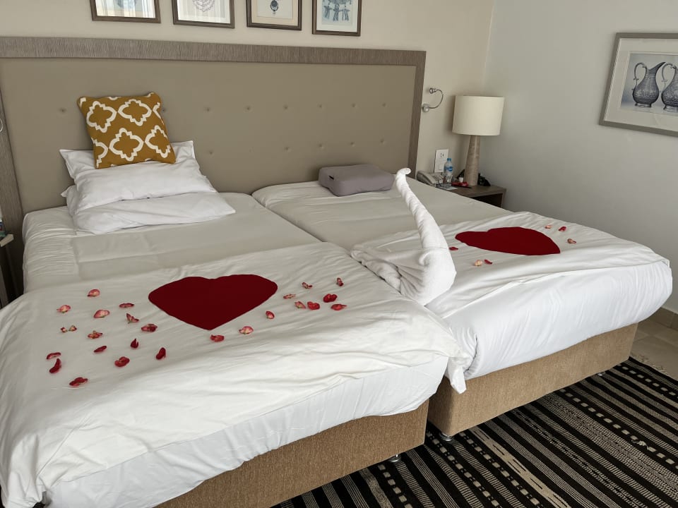 Zimmer Steigenberger Resort Alaya Marsa Alam - Red Sea - Adults only