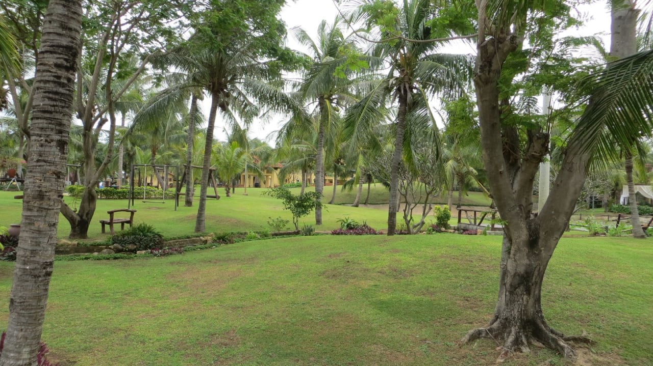 Gartenanlage Pandanus Resort