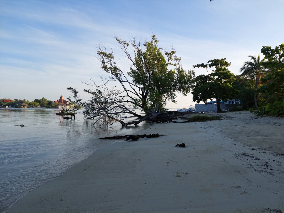 Strand Riu Montego Bay - Adults Only