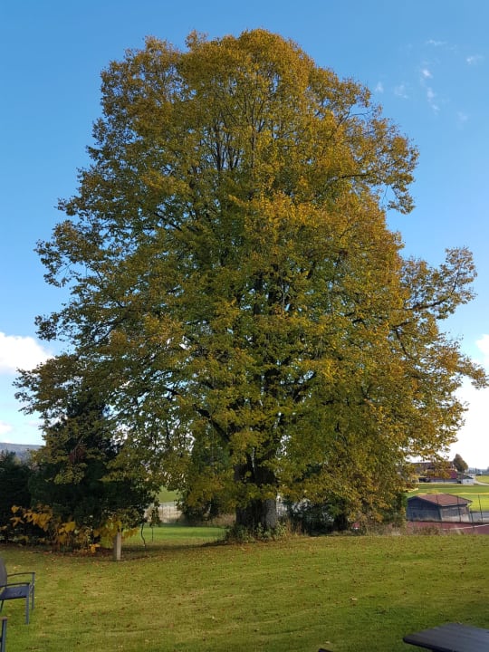 Außenansicht Hotel Bergland-Hof