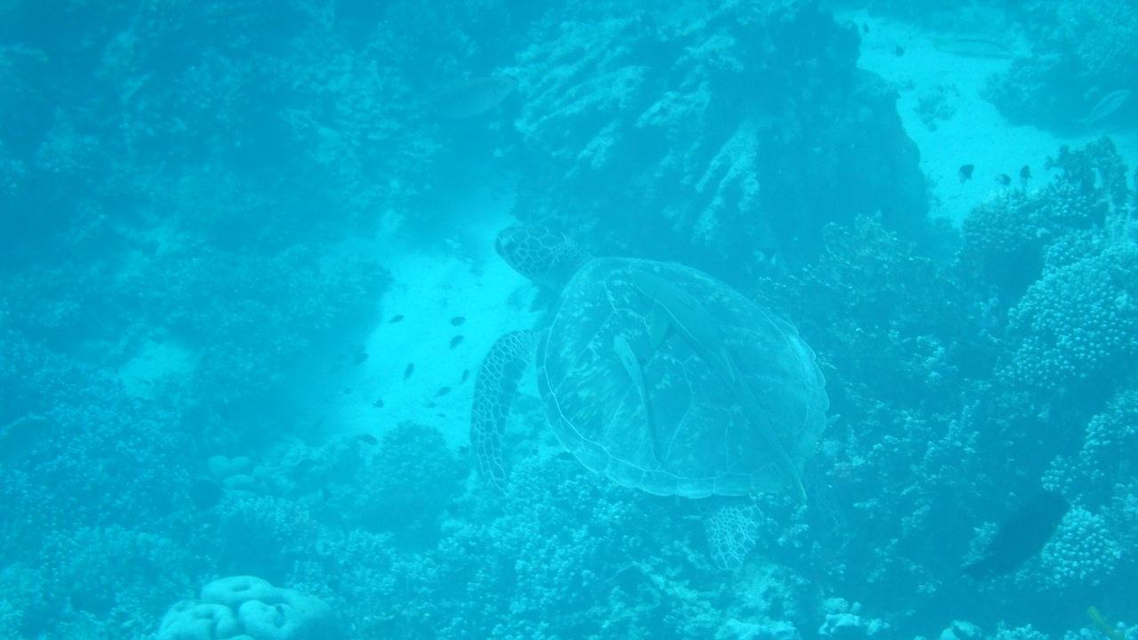 Sonstiges Casa Mare Resort