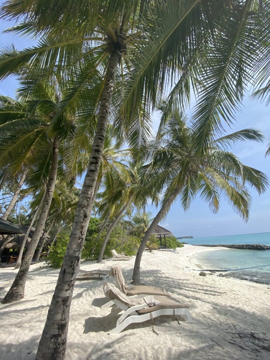 Strand Summer Island Maldives