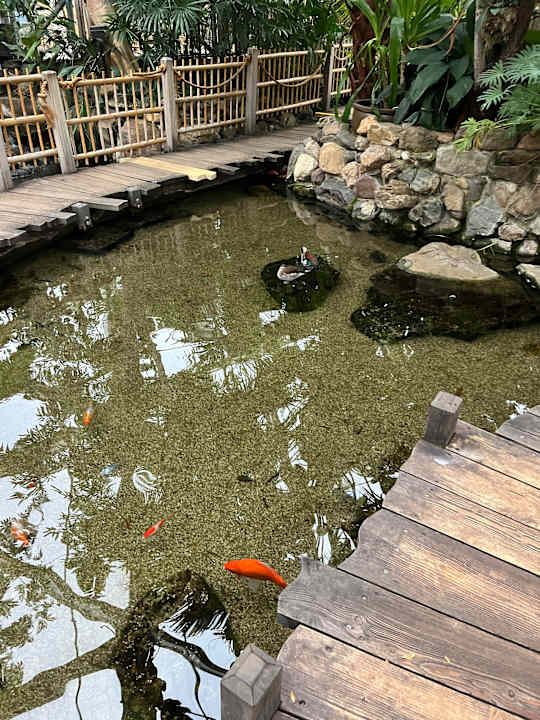 Gartenanlage Center Parcs De Kempervennen