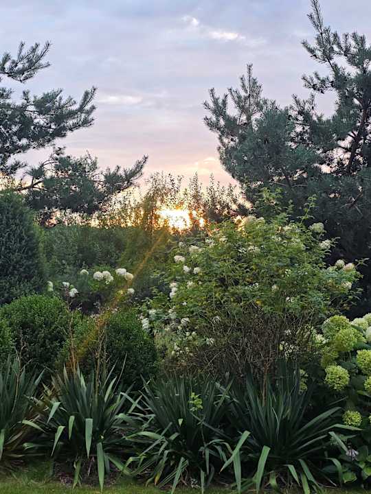 Gartenanlage Alles Paletti Karls Upcycling Hotel