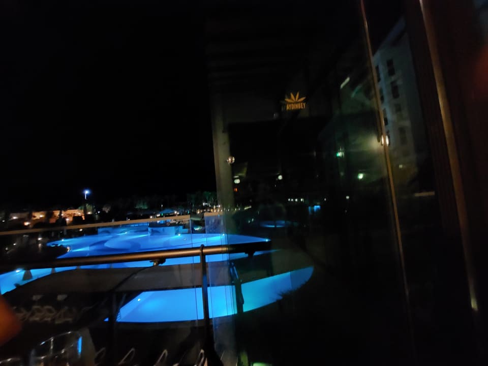 Pool Aydinbey Kings Palace & Spa