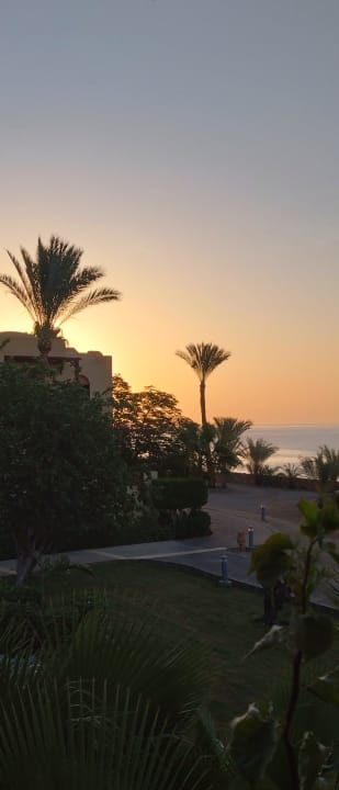 Ausblick Steigenberger Coraya Beach - Adults only