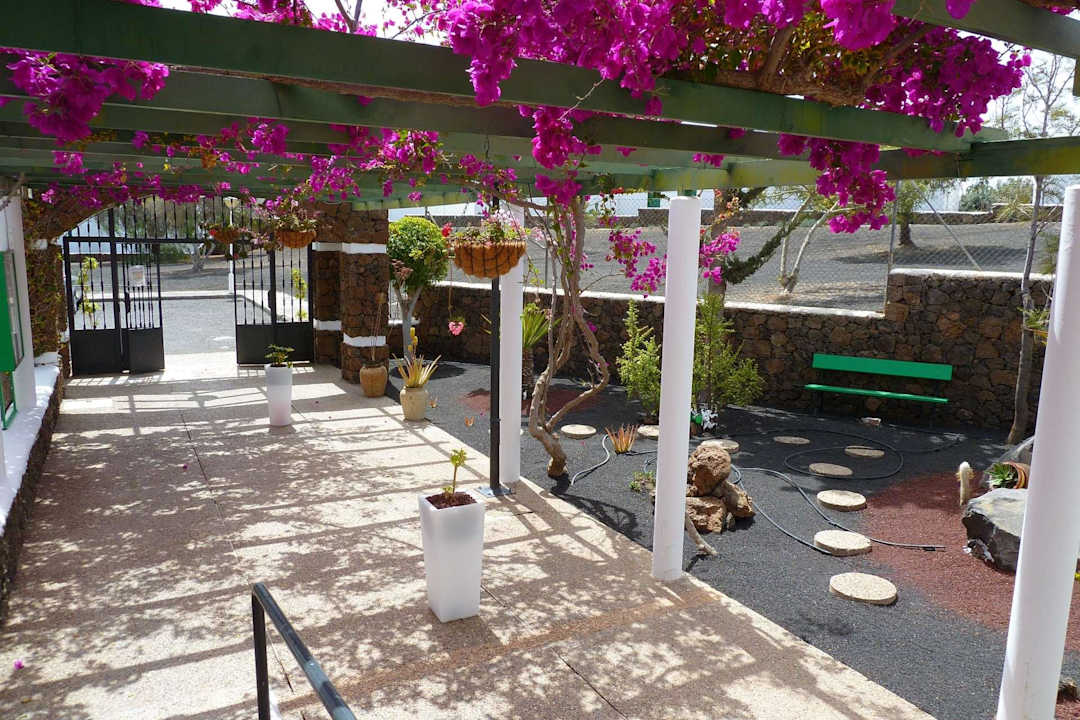 Weg vom Eingang zur Rezeption Apartamentos Guacimeta